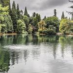 IN A LANDSCAPE: Laurelhurst Park