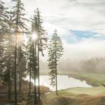 IN A LANDSCAPE: Suncadia