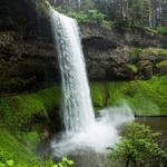 IN A LANDSCAPE: Silver Falls State Park
