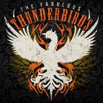 The Fabulous Thunderbirds