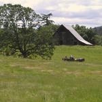 IN A LANDSCAPE: Mildred Kanipe Memorial Park