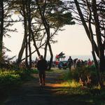 IN A LANDSCAPE: Shore Acres State Park