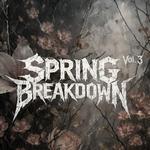 Spring Breakdown Vol. 3