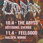 Cadaver + Imperishable live at The Abyss