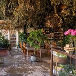 Lavender Blue - Songwriter Series at Flora AVL