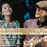 栗林すみれ&市野元彦 DUO LIVE@KAKULULU