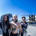 Black Pantera - Mirassol