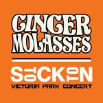Victoria Park Concert Series ft. Ginger Molasses
