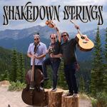 Shakedown Strings live at Lucia