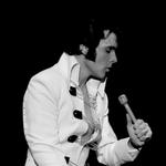 "ELVIS: In Person" Starring Matt Stone & The TEC Band