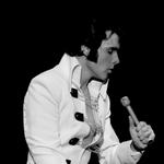Matt Stone As "ELVIS: In Person" Live At Hardin Auditorium 