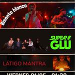 Bisonte Blanco + Superglú + Látigo Mantra 