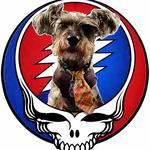 Dead Set FL at Gilligan's Island Bar and Grill