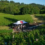 Cove Notes Music Fest