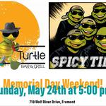 Spicy Tie at the Nauti Turtle 