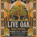 TMCS Live at The live oak music fest Beergarden.