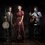 Ordinary Elephant with Wes Collins