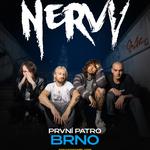 NERVY IN BRNO