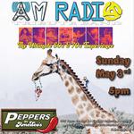 A Night Of Swinging Sixties Sound with AM Radio Tribute Band! At Peppers by Amadeos - the only place we play in King of Prussia! Sunday, May 3rd, from 5 to 8. Step back in time to a world of sharp suits, big harmonies, and irresistible grooves. More than a tribute - it's a time machine!