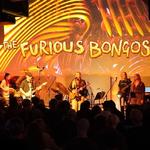 The Furious Bongos - Music of Frank Zappa