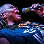 CANAL WINCHESTER BLUES & RIBFEST 2026