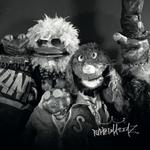 1ère partie Puppetmastaz - Le Brise Glace (Annecy 74)