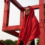 Les Vieilles Charrues