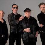 Focus | Bibelot, Dordrecht