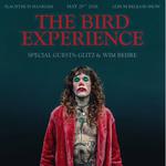 The Bird Experience Album Release Show