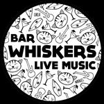 Whiskers Newquay