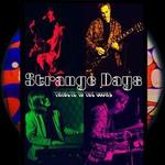 Strange Days Live at the 2026 Venice Beach Half Marathon