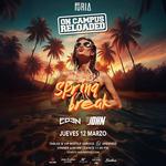 ON CAMPUS RELOADED SPRING BREAK | FURIA PANAMA
