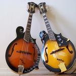 Harrigans - Tennessee Honey Band TRIO 