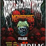 Temple of the fuzz witch with Stonewielder, Spellblade and Mongoose 