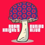 Adam Knight's Buried Alive (Tribute to Phish)