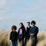 ZAPHYRIA in Antwerpen 