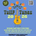 Skagit Valley Tulip Festival Street Fair  2026