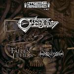 Aggressive Tendencies v38.0