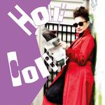 Sherblues & Folk Festival  2026