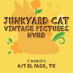 Junkyard Cat + Vintage Pictures