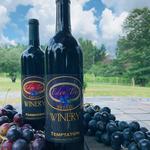 Michael Wayne Dill @ The Eden Try Winery