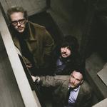 Willow Festival 2026