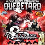 ALACRANES MUSICAL EN QUERETARO