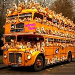 PNW Rock the Meow Tour w/ Criminal Squirrel Orchestra |The Shaken Growlers | Hyperdrive Kittens | 