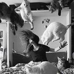 PNW Rock the Meow Tour - CHICO!  Glitter's hometown show