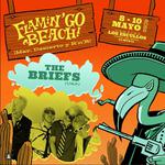 THE BRIEFS AT FLAMIN'GO BEACH FESTIVAL 2026