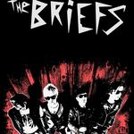 THE BRIEFS
