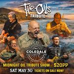 The Oils – Midnight Oil Tribute | Live at Coledale RSL