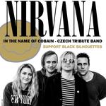 Support NIRVANA CZ