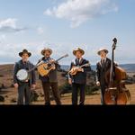 The Waddington Brothers In Concert